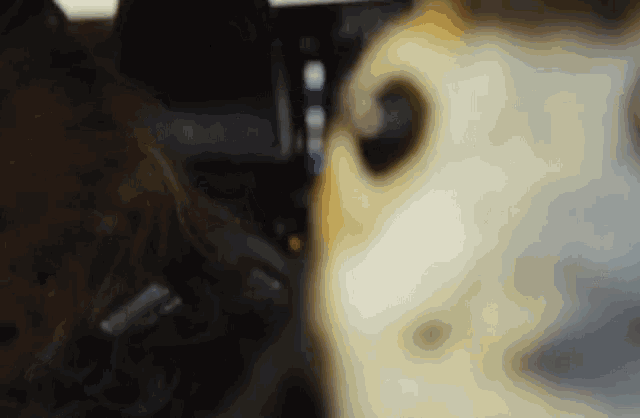 a blurry picture of a person 's face and a dog 's face in a car