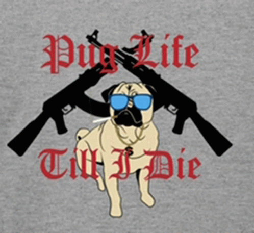 Puglife Gangsta GIF - Puglife Pug Gangsta GIFs