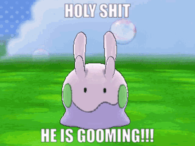 a cartoon of a rabbit with the words holy shit he is grooming written below it