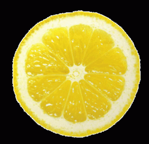 Lemon Slice Spinning GIF - Lemon Slice Spinning Sour Puss GIFs