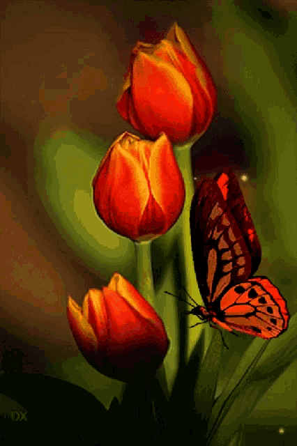 a butterfly is perched on a red flower with the letters dx below it