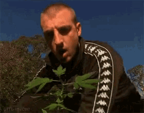 a man in a kappa jacket smelling a marijuana plant