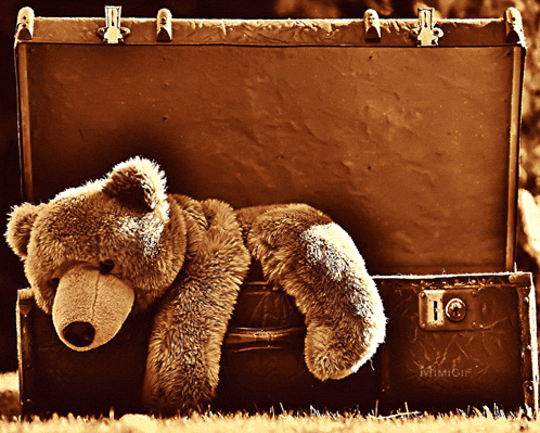a teddy bear laying on top of a suitcase that says mimigif