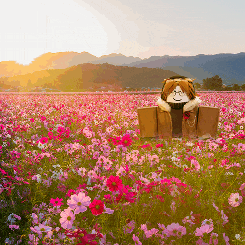 a cardboard box in a field of pink flowers with mountains in the background