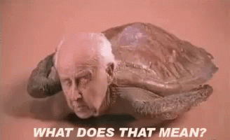 What Does That Mean Mean Turtle GIF - What Does That Mean Mean Turtle Oldman GIFs