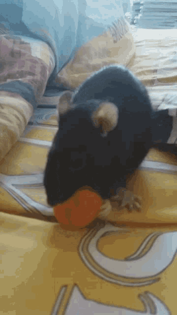 Tasty Eating GIF - Tasty Eating Mouse GIFs