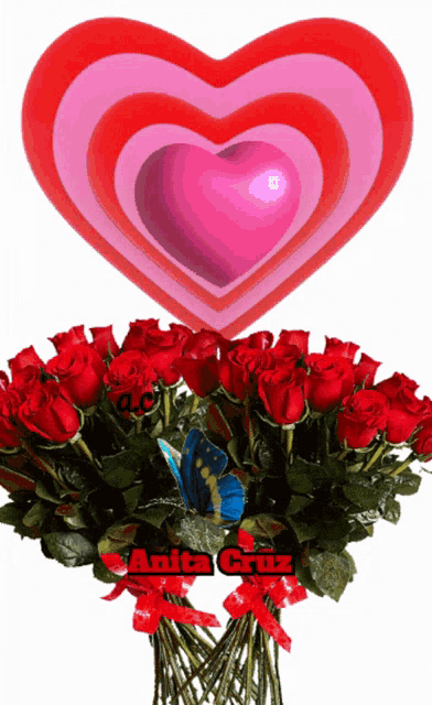 a bunch of red roses with a butterfly and the name anita cruz written on the bottom