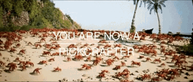 You Are Now A Pickcrafter Crab Party GIF - You Are Now A Pickcrafter Crab Party Pickcrafter GIFs