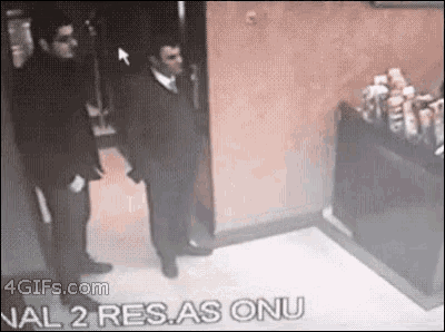 Wütende Katze GIF