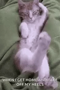 Lazy Cat GIF - Lazy Cat Stretching GIFs