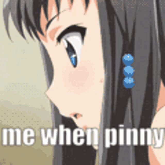 a close up of a girl 's face with the words `` me when pinny '' written below her .