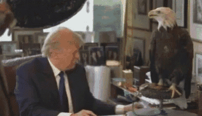 a man in a suit and tie is sitting at a desk next to a bald eagle .
