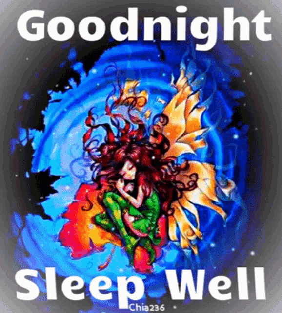 a picture of a fairy with the words " goodnight sleep well "