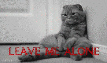 Let Me Be GIF - Cat Alone Emo GIFs