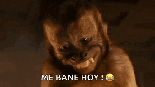 a close up of a monkey with the words me bane hoy behind it