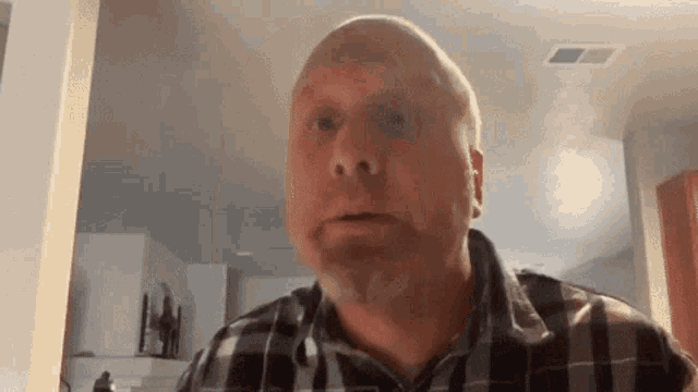 a bald man in a plaid shirt is looking at the camera .