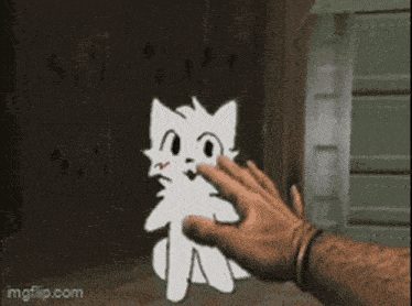a person is holding a white cat in their hand .