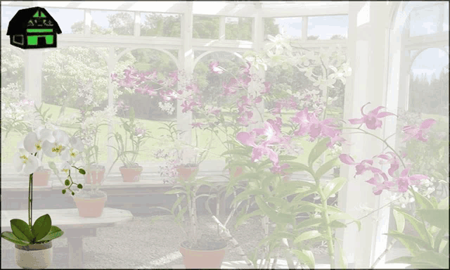an ad for orchid supplies florida with a picture of pots and flowers