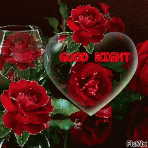 Good Night Flowers GIF - Good Night Flowers Rose GIFs