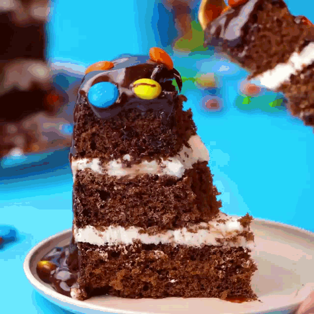 a slice of chocolate cake with m & m 's on top of it