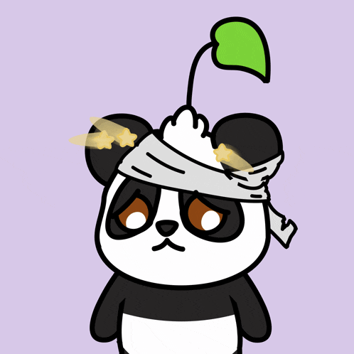 a panda bear with a bandage around its head