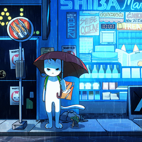 a cat holding an umbrella stands in front of a store that says shiba coin