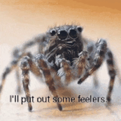 Put Out GIF - Put Out Feelers GIFs