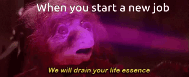 a purple background with the words when you start a new job