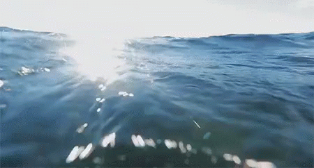 Boğulmak GIF - Bogulmak Yuzmek Deniz GIFs