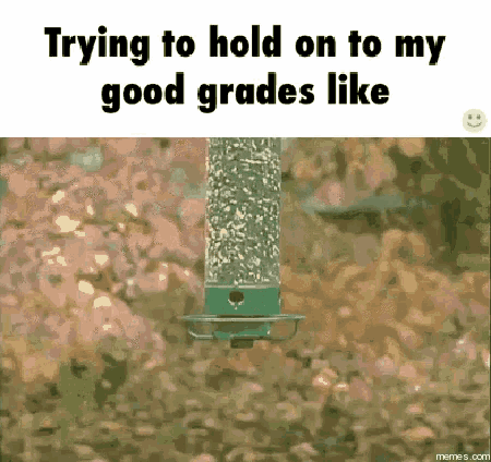 Trying To Hold On To My Good Grades GIF - Good Grades Trying To Hold On To My Good Grades Like GIFs
