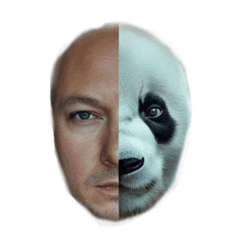half of a man 's face and half of a panda bear 's face on a white background