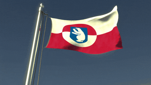a red white and blue flag with a bear in the center