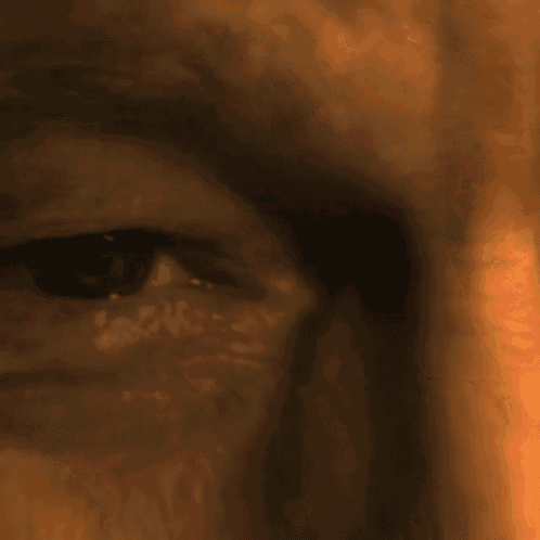 a close up of the word ha on a brown background