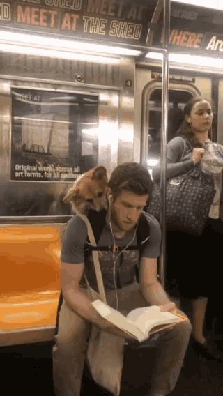 Dog Subway GIF - Dog Subway Reading GIFs