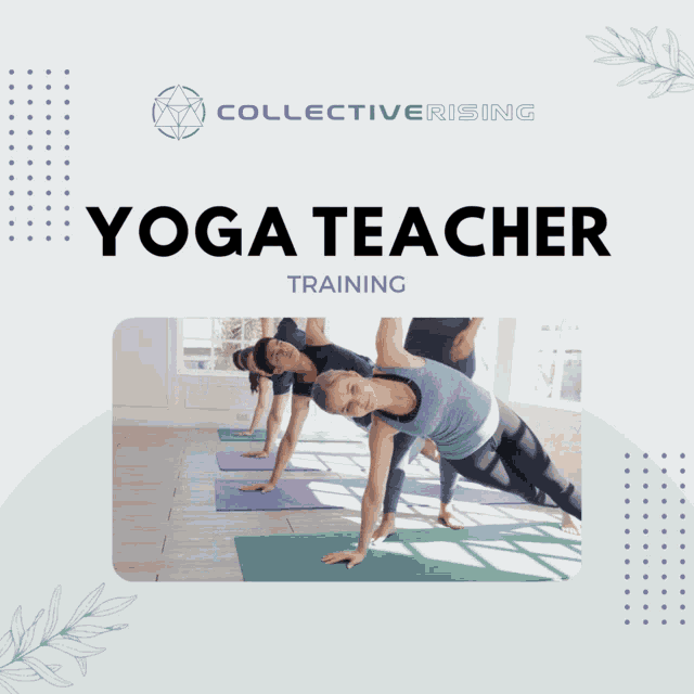 Yoga Teacher Training Yoga Teacher Training In Australia GIF