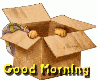 a cardboard box with a cat peeking out of it and the words good morning on it