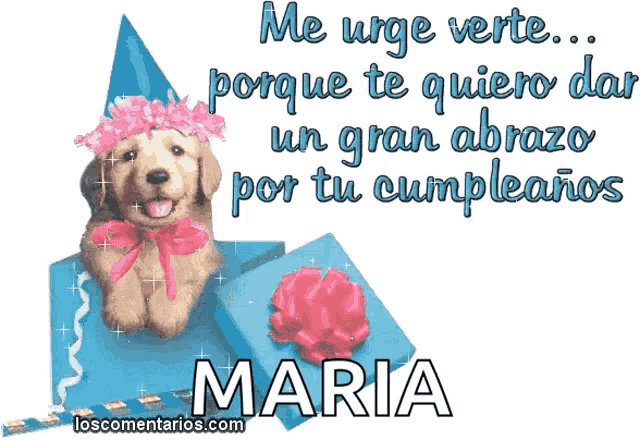 a picture of a dog wearing a party hat and a gift box with the name maria on it