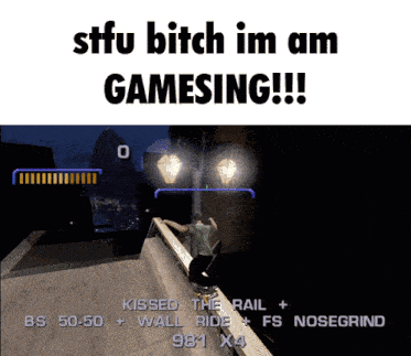 a screenshot of a video game that says ' stfu bitch im am gamesing '