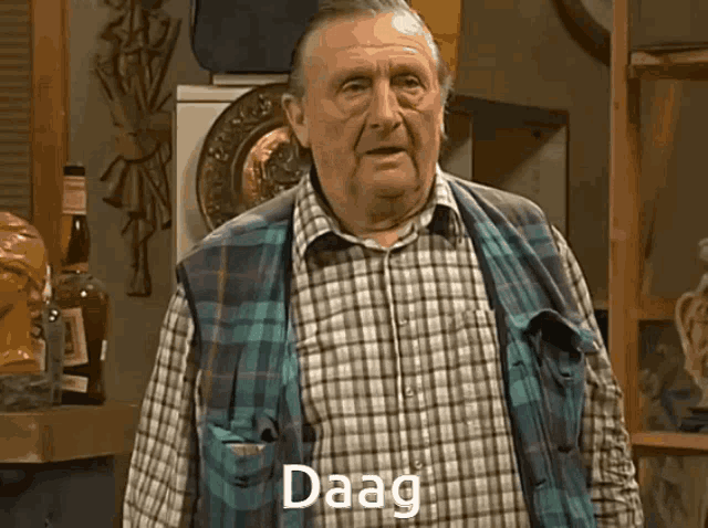 a man in a plaid shirt says ' daag ' in front of a mirror