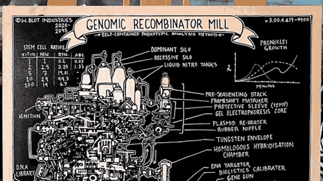 Genomic Recombination Mill Genomic Structure GIF - Genomic Recombination Mill Genomic Structure Peter Draws GIFs