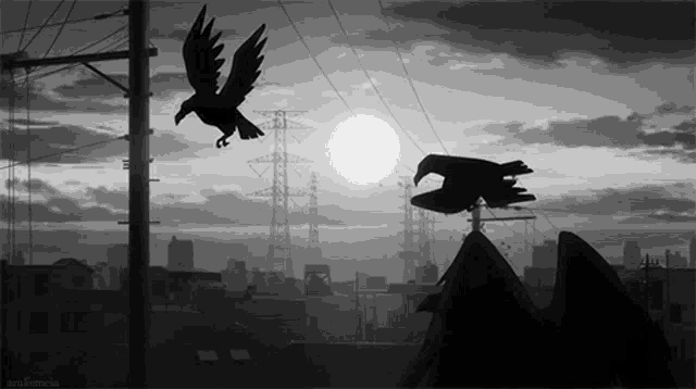 a black and white photo of two birds flying over a city with the caption " are ferricia "