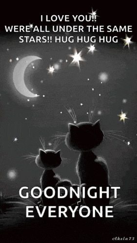 two black cats are sitting under the same stars and the moon .