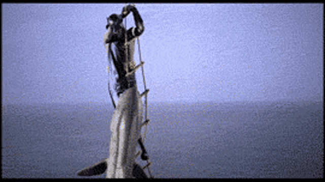 a statue of a man standing on top of a shark