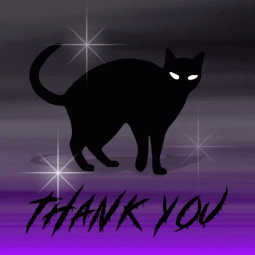 Purple Black Cat GIF - Purple Black Cat Cat GIFs