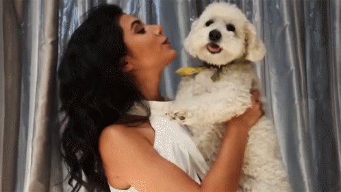 Giselle Torres Puppy GIF - Giselle Torres Puppy Doggo GIFs