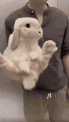 a man is holding a large white rabbit in his hands .