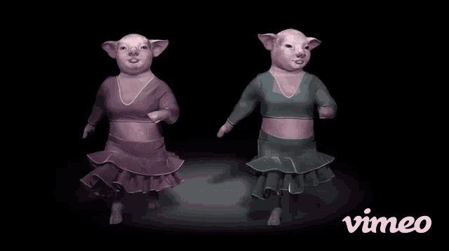 two pigs are dancing in front of vimeo