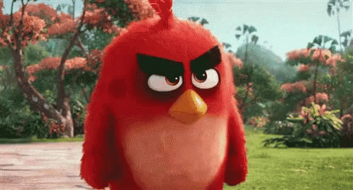 Oh Really Red Bird GIF - Oh Really Red Bird GIFs
