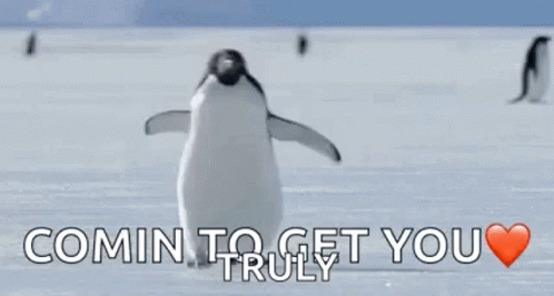 Coming To Get You Penguin GIF - Coming To Get You Penguin Cute GIFs