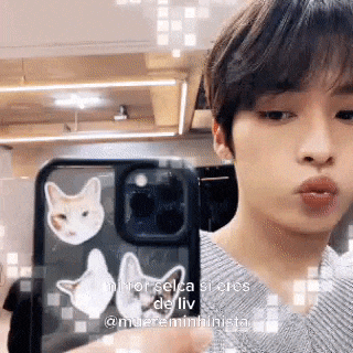a young man is taking a selfie in front of a mirror with a cat case on his phone .
